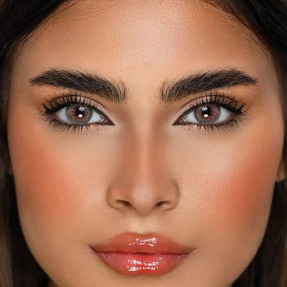 1 Day Contact Lenses